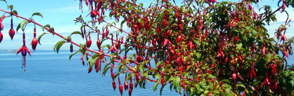 Preguntas Frecuentes